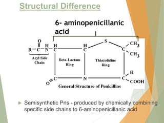 Structural Difference
29
 Semisynthetic Pns - produced by chemically combining
specific side chains to 6-aminopenicillanic acid
6- aminopenicillanic
acid
 