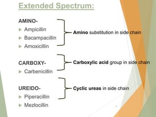 Extended Spectrum:
AMINO-
 Ampicillin
 Bacampacillin
 Amoxicillin
CARBOXY-
 Carbenicillin
UREIDO-
 Piperacillin
 Mezlocillin 34
Amino substitution in side chain
Carboxylic acid group in side chain
Cyclic ureas in side chain
 