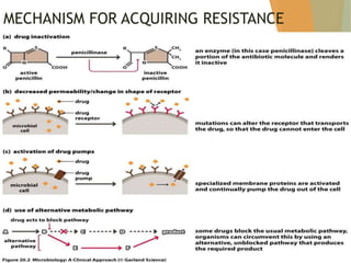 MECHANISM FOR ACQUIRING RESISTANCE
 Reistance to penicillins and other beta lactams are due
to one of four general mechanism :
• Inactivation of the antibiotic by beta lactamase
• Modification of target PBP’S
• Impaired penetration of drugs to target PBP’S
• The presence of an efflux pump.
41
 