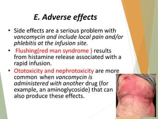 E. Adverse effects
• Side effects are a serious problem with
vancomycin and include local pain and/or
phlebitis at the infusion site.
• Flushing(red man syndrome ) results
from histamine release associated with a
rapid infusion.
• Ototoxicity and nephrotoxicity are more
common when vancomycin is
administered with another drug (for
example, an aminoglycoside) that can
also produce these effects.
71
 