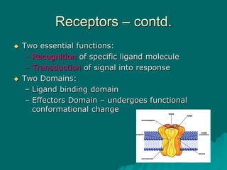 Receptors – contd.
 Two essential functions:
– Recognition of specific ligand molecule
– Transduction of signal into response
 Two Domains:
– Ligand binding domain
– Effectors Domain – undergoes functional
conformational change
 