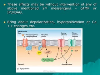  These effects may be without intervention of any of
above mentioned 2nd messengers – cAMP or
IP3/DAG.
 Bring about depolarization, hyperpolrization or Ca
++ changes etc.
 