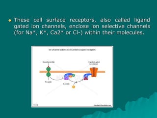  These cell surface receptors, also called ligand
gated ion channels, enclose ion selective channels
(for Na*, K*, Ca2* or Cl-) within their molecules.
 
