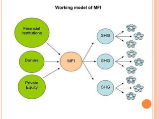 Working model of MFI
 