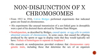  From 1913 to 1916, Calvin Bridges performed experiments that indicated
genes are found on chromosomes.
 His experiments like unusual transmission of a sex-linked gene in drosophila
were a part of his doctoral thesis advised by Thomas Hunt Morgan.
 Nondisjunction, as described by Bridges, caused sperm or egg cells to contain
abnormal amounts of chromosomes. In some cases, that caused the offspring
produced by the sperm or eggs to display traits that they would typically not
have. Failure of homologues to separate in Anaphase I
 His research on nondisjunction provided evidence that chromosomes carry
genetic traits, including those that determine the sex of an organism
 