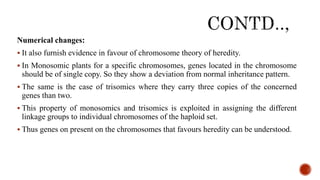 Numerical changes:
 It also furnish evidence in favour of chromosome theory of heredity.
 In Monosomic plants for a specific chromosomes, genes located in the chromosome
should be of single copy. So they show a deviation from normal inheritance pattern.
 The same is the case of trisomics where they carry three copies of the concerned
genes than two.
 This property of monosomics and trisomics is exploited in assigning the different
linkage groups to individual chromosomes of the haploid set.
 Thus genes on present on the chromosomes that favours heredity can be understood.
 