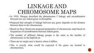  In 1910, Morgan described the phenomenon f linkage and recombination
between two sex linked genes in drosophila.
 Proposed that strength of linkage between any genes depends on the distance
between them in the chromosome.
 Based on these Sturtevant proposed preparation of chromosome map based on
frequencies of recombination between linked genes.
 The number of different linkage groups is the same as the number of
chromosomes in the haploid set.
 There are no single case is known where it differs.
 This is exactly what would be expected if the genes are located in
chromosomes.
 