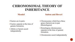 Mendel
 Factors are in pairs
 Factors separate at the time of
gamete formation.
 Alleles or factors assort
independently
Sutton and Boveri
 Chromosomes which have these
genes (factors) are in pair
(Homologous)
 Homologous chromosomes
separate at the time of gamete
formation.
 Chromosome assort independently
 