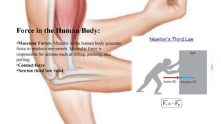 Physics on the topic the roll of physics in humans body | PPTX