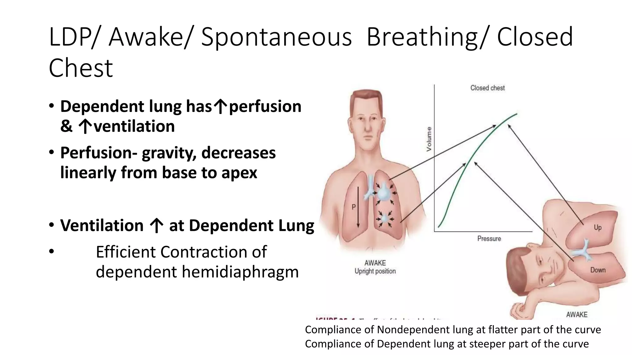 PHYSIOLOGY OF One lung ventilation.pptx