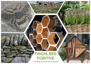 FINGAL BEE
POSITIVE
A SUSTAINABLE FUTURE FOR FINGAL’S OPEN SPACES
 