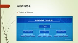 structures
 Functional Structure
 
