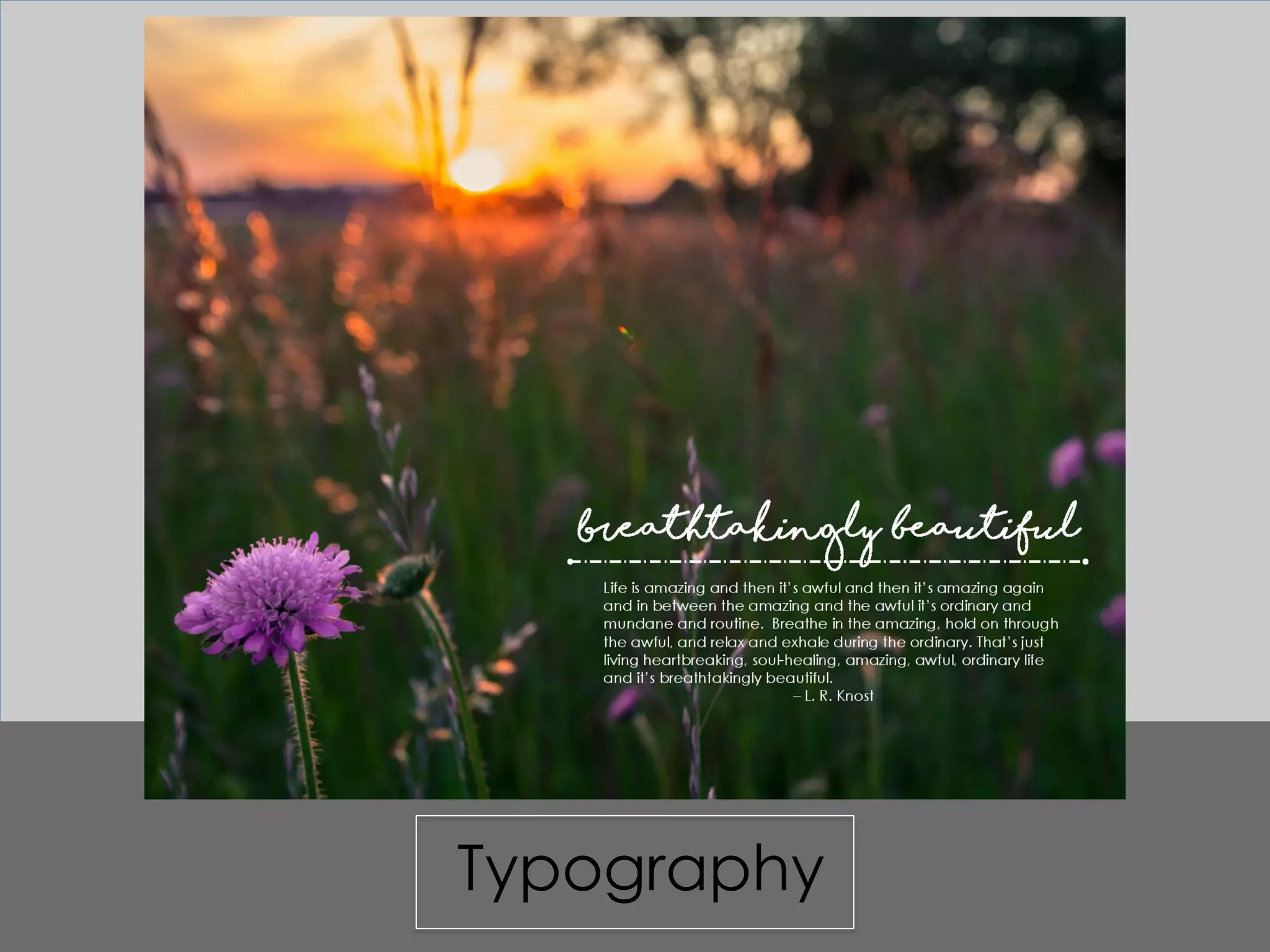 Final portfolio draft | PDF