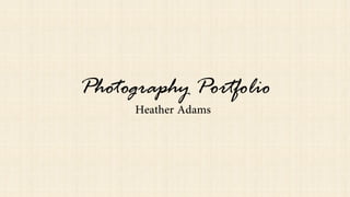 Photography Portfolio  