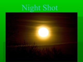 Night Shot
 