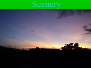 Scenery
 