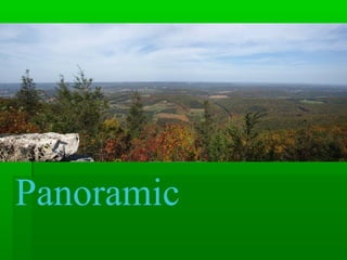 Panoramic
 