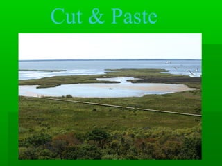 Cut & Paste
 