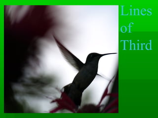 Lines
of
Third
 