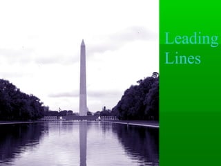 Leading
Lines
 