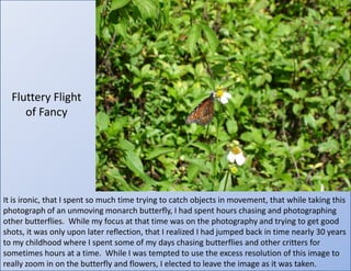 Fluttery Flightof FancyIt is ironic, that I spent so much time trying to catch objects in movement, that while taking this photograph of an unmoving monarch butterfly, I had spent hours chasing and photographing other butterflies.  While my focus at that time was on the photography and trying to get good shots, it was only upon later reflection, that I realized I had jumped back in time nearly 30 years to my childhood where I spent some of my days chasing butterflies and other critters for sometimes hours at a time.  While I was tempted to use the excess resolution of this image to really zoom in on the butterfly and flowers, I elected to leave the image as it was taken.