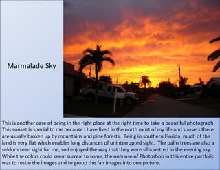 Marmalade SkyThis is another case of being in the right place at the right time to take a beautiful photograph.  This sunset is special to me because I have lived in the north most of my life and sunsets there are usually broken up by mountains and pine forests.  Being in southern Florida, much of the land is very flat which enables long distances of uninterrupted sight.  The palm trees are also a seldom seen sight for me, so I enjoyed the way that they were silhouetted in the evening sky.  While the colors could seem surreal to some, the only use of Photoshop in this entire portfolio was to resize the images and to group the fan images into one picture.
