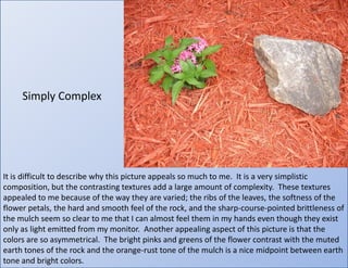 Simply ComplexIt is difficult to describe why this picture appeals so much to me.  It is a very simplistic composition, but the contrasting textures add a large amount of complexity.  These textures appealed to me because of the way they are varied; the ribs of the leaves, the softness of the flower petals, the hard and smooth feel of the rock, and the sharp-course-pointed brittleness of the mulch seem so clear to me that I can almost feel them in my hands even though they exist only as light emitted from my monitor.  Another appealing aspect of this picture is that the colors are so asymmetrical.  The bright pinks and greens of the flower contrast with the muted earth tones of the rock and the orange-rust tone of the mulch is a nice midpoint between earth tone and bright colors.