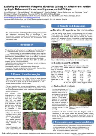 Exploring the potentials of Hagenia abyssinica  (Bruce)   J.F. Gmel for soil nutrient cycling in Galessa and the surrounding areas, central Ethiopia Kindu Mekonnen 1,2 , Gerhard Glatzel 3 , Monika Sieghardt  3 ,   Kasahun Bekele 1 , Mehari Alebachew 1  and Demissew Tserte 1  1 Ethiopian Institute of Agricultural Research (EIAR), Box 2003, Holetta, Ethiopia 2 Current address - International Livestock Research Institute (ILRI), Box 5689, Addis Ababa, Ethiopia, Email:  [email_address]  or  [email_address] 3 Institute of Forest Ecology, UNI BOKU, Peter-JordanStrasse 82, A-1190, Vienna, Austria The soil fertility improving potential and ecological importance of  H. abyssinica  should be further explored and exploited in the high altitude areas, where soil nutrient depletion is a limiting factor  for  crop and livestock productivity. The  foliage mean N content was high as compared to the N content in the flower bud and stem of Hagenia (Table 1). Lignin content in the foliage was 53 mg g -1 .  1. Introduction Abstract 2. Research methodologies 4. Conclusions and recommendations The poster elaborates methodologies for collecting socioeconomic and biophysical information from H. abyssinica. It also demonstrates research results and discussions of the foliage nutrient concentrations, and soil macro and micronutrients under the Hagenia trees. ,[object Object],[object Object],[object Object],[object Object],[object Object],[object Object],PRA and questionnaire survey approaches were used to study the growing niches, histories and benefits of  H. abyssinica . A total of 150 farmers from different social categories participated in the questionnaire survey.  Foliage and flower bud  samples (Figure 1) were collected and analysed for macronutrients, lignin, soluble phenolics and condensed tannin using standard lab methods.  Figure 1. Foliage (a)  and flower bud (b) of Hagenia.  The tree species grow around the homesteads and the nearby forest areas. The farming communities at Galessa and the surrounding areas identified more than 10 service and product benefits of  H. abyssinica . Among the benefits, the soil fertilizing and fodder values of  H. abyssinica  were mentioned substantially (Figure 2).  a) Benefits of Hagenia for the communities  The total N content at 0-15 cm depth vs 75 cm radial distance was 6.60 mg g -1  as compared to an amount of 5.66 mg g -1  at 0-15 cm depth vs 225 cm radial distance from the base of the trees. In general, the soil under the vicinity of  H. abyssinica  contained a substantial amount of soil nutrients such as P, K, Ca and Mg.   c) Soil nutrient contents b) Foliage nutrient contents 3. Results and discussion S oil samples were collected at 0-15, 15-30 and 30-50 cm depths and 0-75, 75-150 and 150- 225 cm radial distances from the bases of  H. abyssinica . The soil samples were analyzed for pH, organic C, total N, available P and exchangeable cations.  (a) (b) Figure 2. Soil fertilizing (a) and fodder (b) values of Hagenia. (b) Enrichment of these nutrients under the Hagenia could be associated to the rooting system and efficient nutrient cycling power of the trees. Hagenia constantly sheds high amount of leaves and provides mulch and green manure to the soil within its vicinity (Figure 3).  Figure 3. Hagenia with high leaf deposition.  (a) The study was conducted from 2004 to 2006 in the upper plateaus of Galessa-Jeldu areas, Dendi and Jeldu districts, central Ethiopia (9 o  02' 47'' to 9o 15' 00’’ N and 38 o  05' 00'' to 38 o  12' 16'' E). The altitude ranges from 2900 to 3200 m.a.s.l.  Acknowledgements:  We thank HARC forestry and SWM research staffs, EIAR, AFORNET, KEF (Austria), UNI-BOKU and ILRI for all the support.  Produced March 2011  Table 1. Mean nutrient composition of the foliage, flower bud and stem in Hagenia.         Nutrients Foliage Flower bud Stem N 30.07 27.20 12.94 P 3.71 4.54 1.54 K 21.22 22.04 16.05 Ca 9.69 5.54 8.57 Mg 2.38 2.53 1.68 S 2.03 2.7 1.5 N, P, K, Ca, Mg and S are in mg g -1 dry matter. 