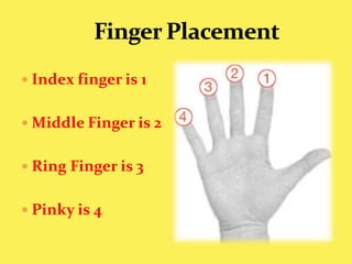 Finger PlacementIndex finger is 1Middle Finger is 2Ring Finger is 3Pinky is 4 