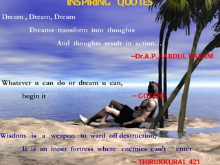dreamviews