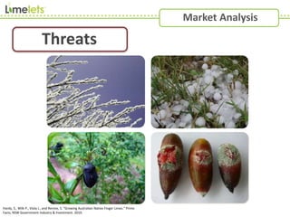 Threats
Market Analysis
Hardy, S., Wilk P., Viola J., and Rennie, S. "Growing Australian Native Finger Limes." Prime
Facts, NSW Government Industry & Investment. 2010.
 