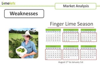 Market Analysis
Weaknesses
July August September
October November December
Finger Lime Season
August 1st to January 1st
 