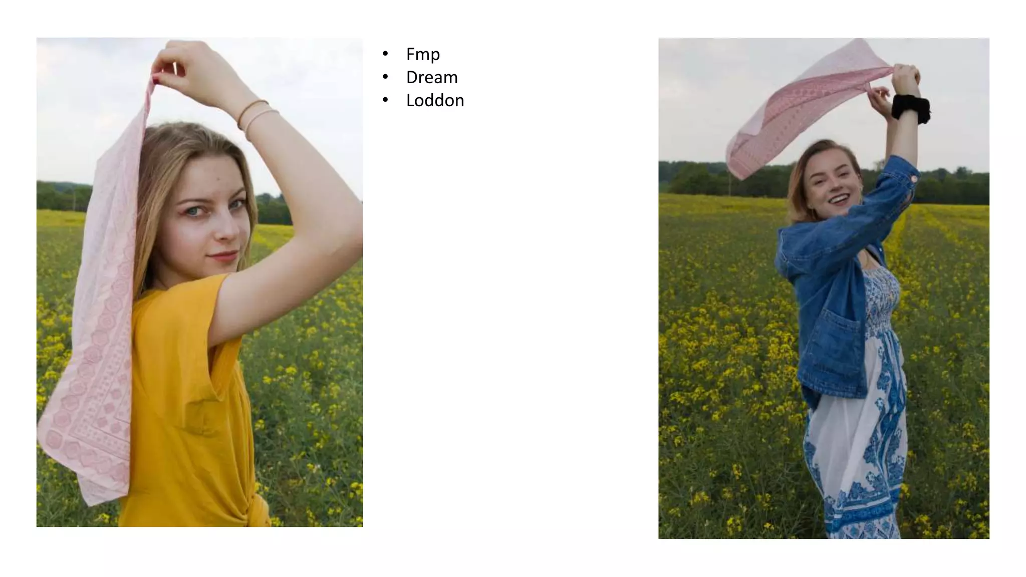 • Fmp
• Dream
• Loddon
 