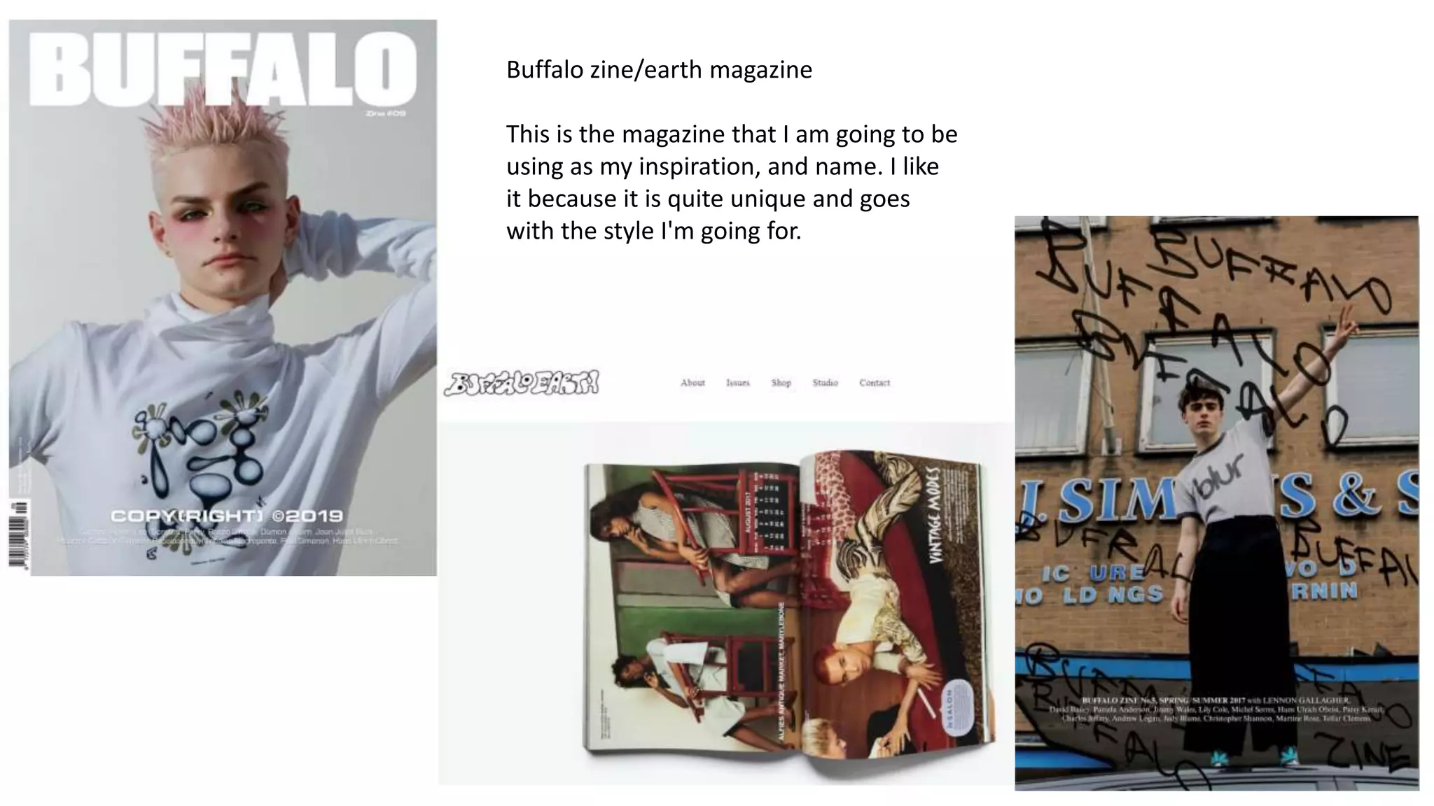 Buffalo zine/earth magazine
This is the magazine that I am going to be
using as my inspiration, and name. I like
it because it is quite unique and goes
with the style I'm going for.
 