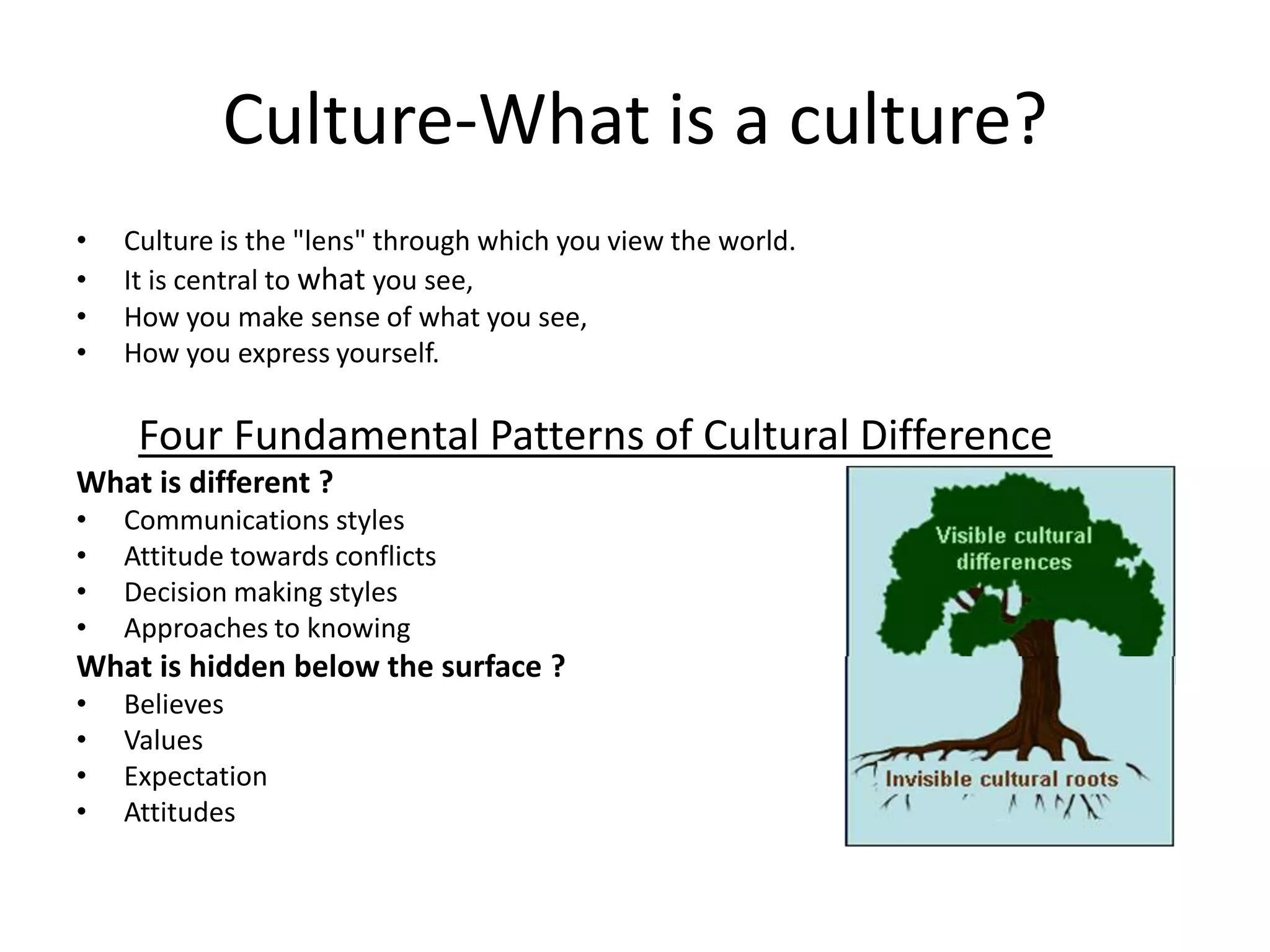 Culture-What is a culture?
•   Culture is the "lens" through which you view the world.
•   It is central to what you see,
•   How you make sense of what you see,
•   How you express yourself.

     Four Fundamental Patterns of Cultural Difference
What is different ?
•   Communications styles
•   Attitude towards conflicts
•   Decision making styles
•   Approaches to knowing
What is hidden below the surface ?
•   Believes
•   Values
•   Expectation
•   Attitudes
 
