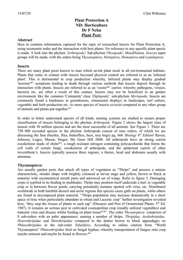 Final p pa insect PDF