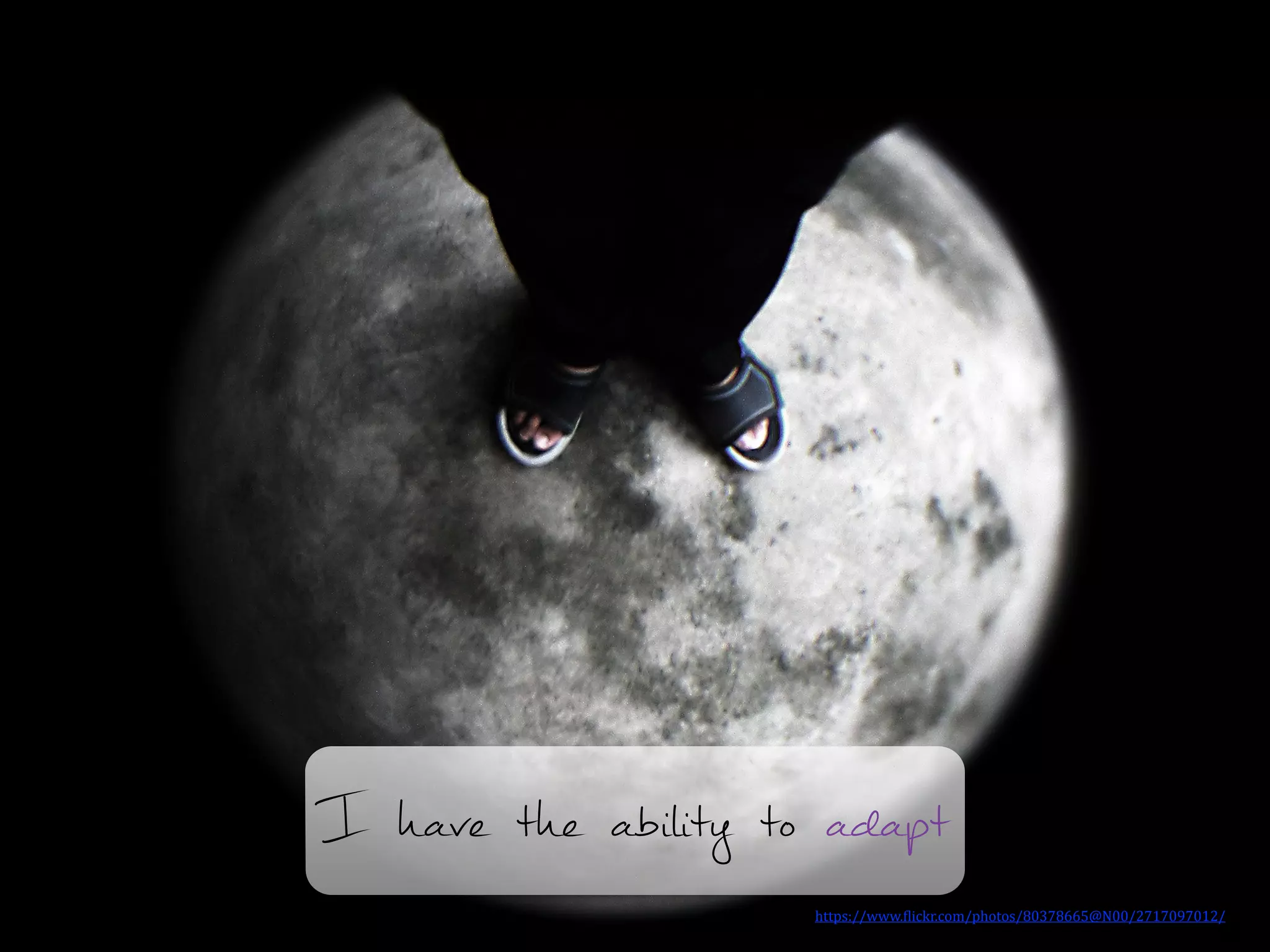 I have the ability to adapt
https://www.)lickr.com/photos/80378665@N00/2717097012/	
  	
  
 