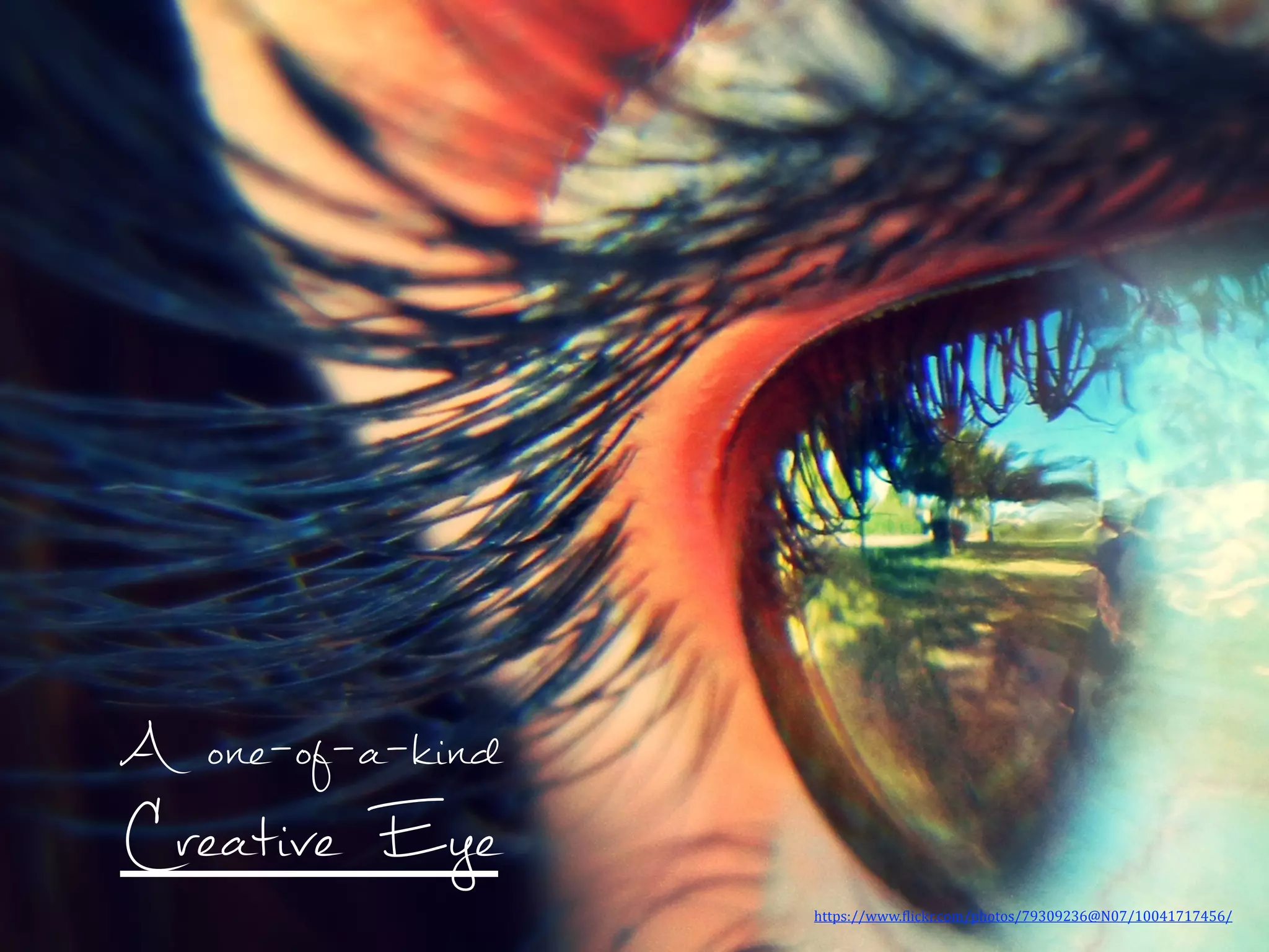 Creative Eye
A one-of-a-kind
https://www.)lickr.com/photos/79309236@N07/10041717456/	
  	
  
 