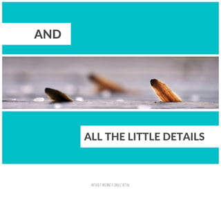 圀椀琀栀漀甀琀 洀椀猀猀椀渀最 愀 猀椀渀最氀攀 搀攀琀愀椀氀
 