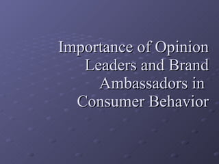 Importance of Opinion Leaders and Brand Ambassadors in  Consumer Behavior 