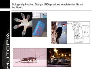Biologically Inspired Design (BID) provides templates for life on
the Moon.
 