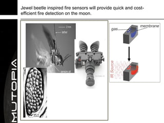 Jewel beetle inspired fire sensors will provide quick and cost-
efficient fire detection on the moon.
 