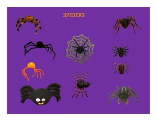 SPIDERS
 