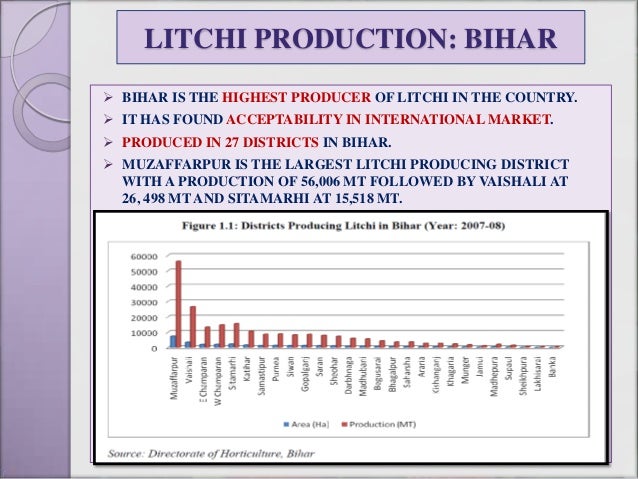 LITCHI PROCRESSING IN BIHAR AND ITS ROLE IN THE ECONOMIC DEVELOPMENT litchi-procressing-in-bihar-and-its-role-in-the-economic-development