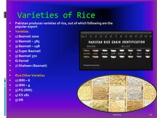Varieties of Rice

















Pakistan produces varieties of rice, out of which following are the
popular export
Varieties.
1) Basmati 2000
2) Basmati – 385
3) Basmati – 198
4) Super Basmati
5) Basmati 370
6) Kernel
7) Shaheen (Basmati)
Rice Other Varieties
1) IRRI – 6
2) IRRI – 9
3) PG (IRRI)
4) KS 282
5) DR

2/1/2014

10

 