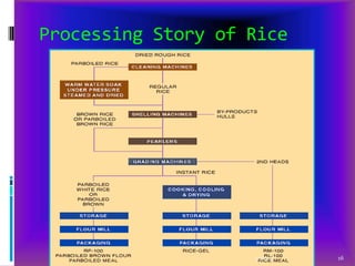 Processing Story of Rice

2/1/2014

16

 