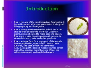 Introduction






Rice is the one of the most important food grains. It
is used in almost all homes as eatables. It has good
filling capacity as a food grains.
Rice is mostly eaten steamed or boiled, but it can
also be dried and ground into flour. Like most
grains, rice can be used to make beer and liquors.
Rice straw is used to make paper and can also be
woven into mats, hats, and other products.
Rice is a staple food for a large part of the world's
human population, especially in tropical Latin
America, and East, South and Southeast
Asia, making it the second-most consumed cereal
grain. Rice provides more than one fifth of the
calories consumed worldwide by humans

2/1/2014

6

 