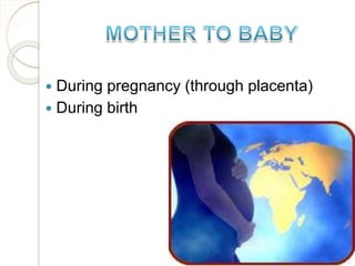  During pregnancy (through placenta)
 During birth
 