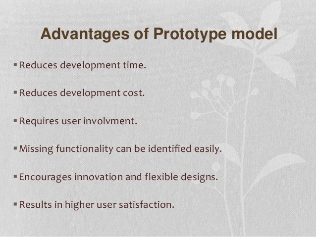 Prototype Model