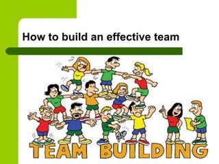 How to build an effective team
 